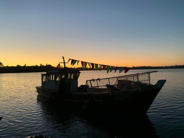 Fotografía 19 de Camping Bellavista Puyehue en Puyehue, Los Lagos