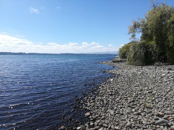 Fotografía 20 de Camping Bellavista Puyehue en Puyehue, Los Lagos