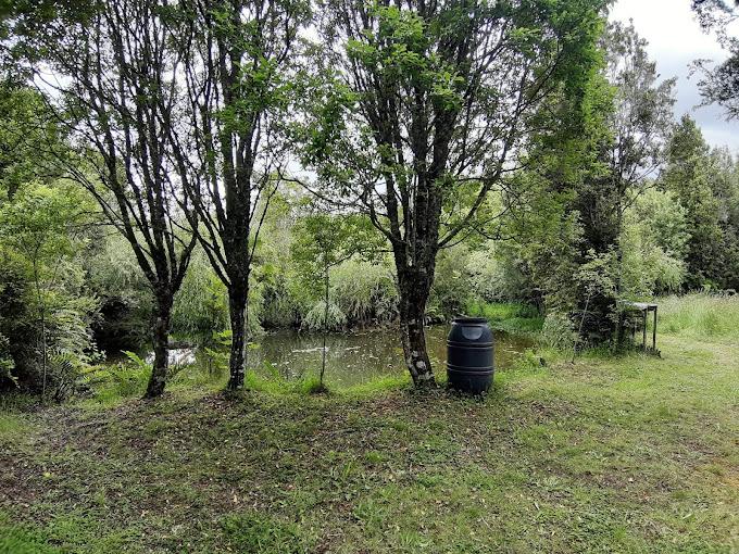 Fotografía 8 de Camping Borde Rio en Puerto Montt, Los Lagos