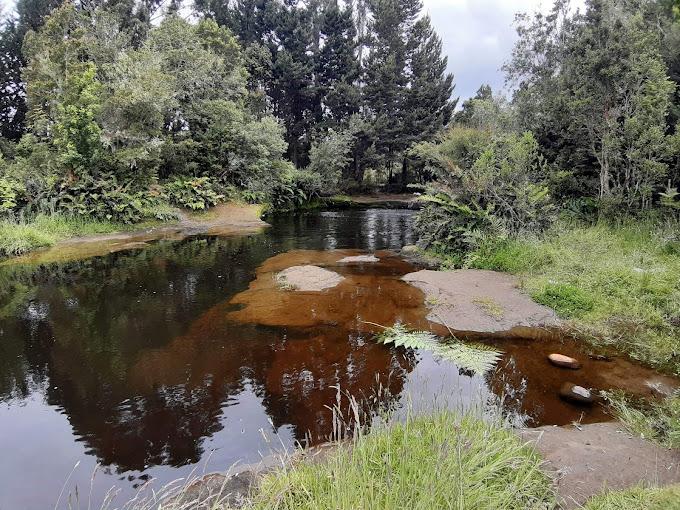 Fotografía 9 de Camping Borde Rio en Puerto Montt, Los Lagos