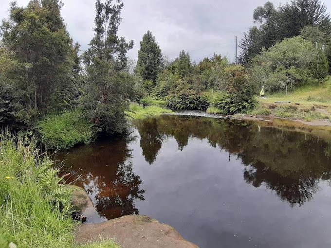 Fotografía 13 de Camping Borde Rio en Puerto Montt, Los Lagos