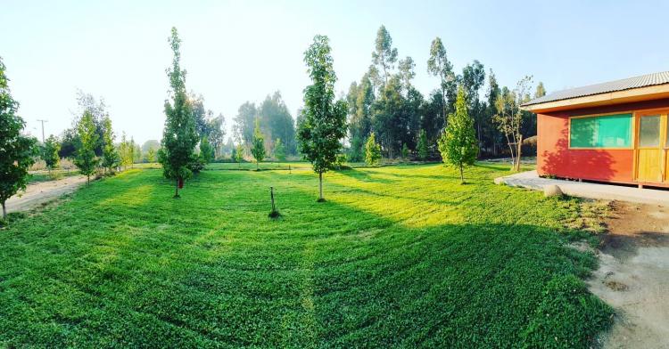 Fotografía 9 de Camping Buena Paz en Molina, Maule