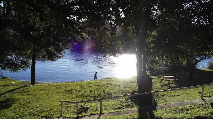 Fotografía 2 de Camping Catrico en Villarrica, Araucania