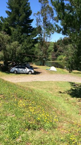 Fotografía 11 de Camping Catrico en Villarrica, Araucania