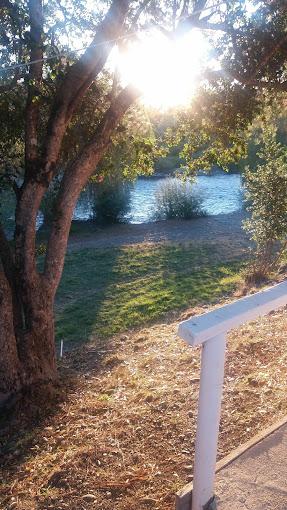 Fotografía 13 de Camping Catrico en Villarrica, Araucania