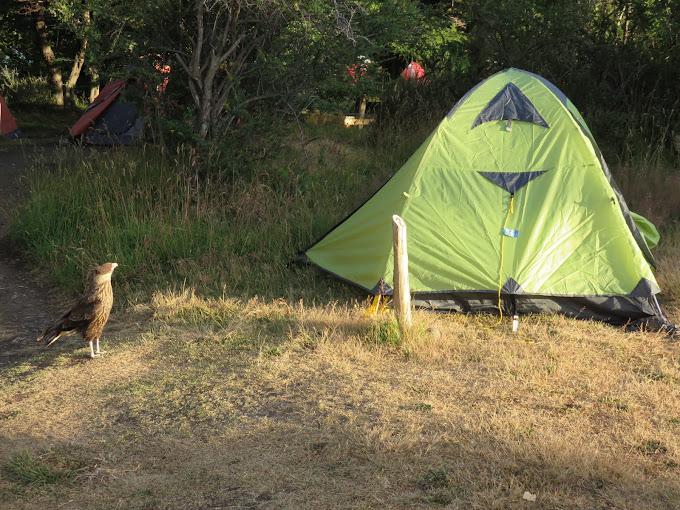 Fotografía 11 de Camping Central en Torres Del Paine, Magallanes