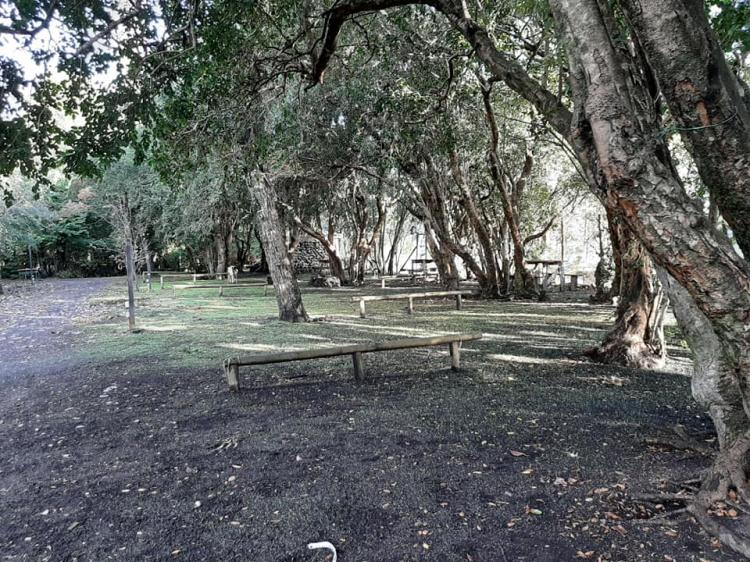 Fotografía 9 de Camping Challupen en Villarrica, Araucania
