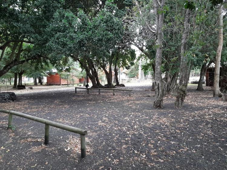 Fotografía 16 de Camping Challupen en Villarrica, Araucania