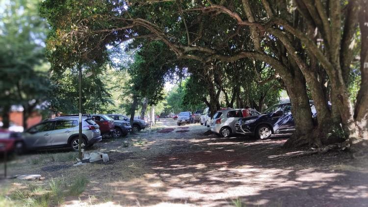 Fotografía 20 de Camping Challupen en Villarrica, Araucania