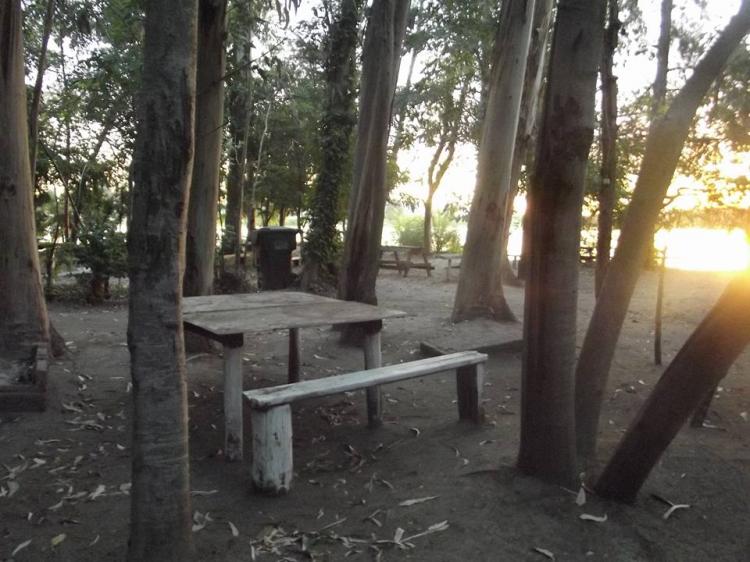 Fotografía 4 de Camping Copelia en Las Cabras, Ohiggins