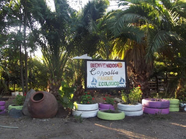 Fotografía 6 de Camping Copelia en Las Cabras, Ohiggins