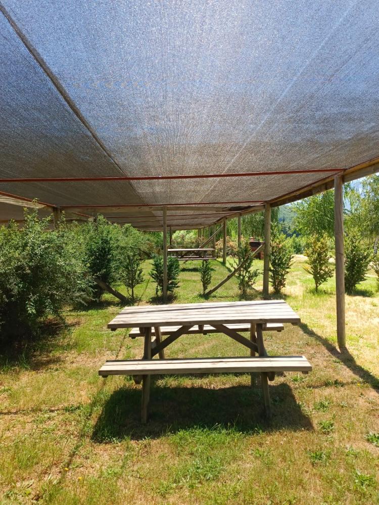 Fotografía 9 de Camping Trompelhueno de Quilaco en Santa Barbara, Bio Bio