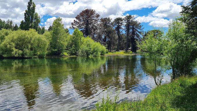 Camping Nacimiento Río Biobío en Lonquimay, Araucania
