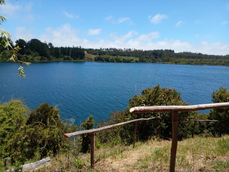 Camping Laguna Grande de Lloncao en Cañete, Bio Bio