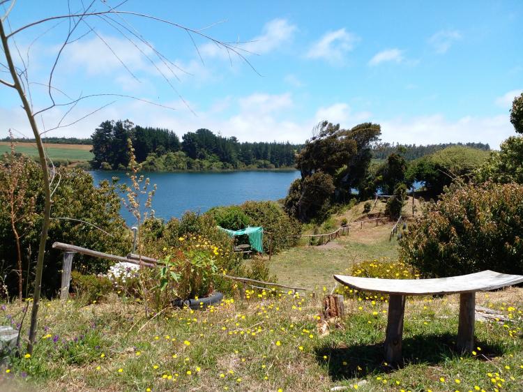 Fotografía 4 de Camping Laguna Grande de Lloncao en Cañete, Bio Bio