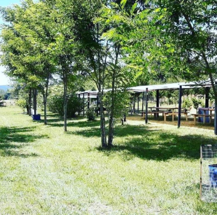 Fotografía 4 de Centro de Eventos Viruco en Santa Juana, Bio Bio