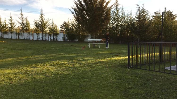 Fotografía 10 de Centro de Eventos Viruco en Santa Juana, Bio Bio