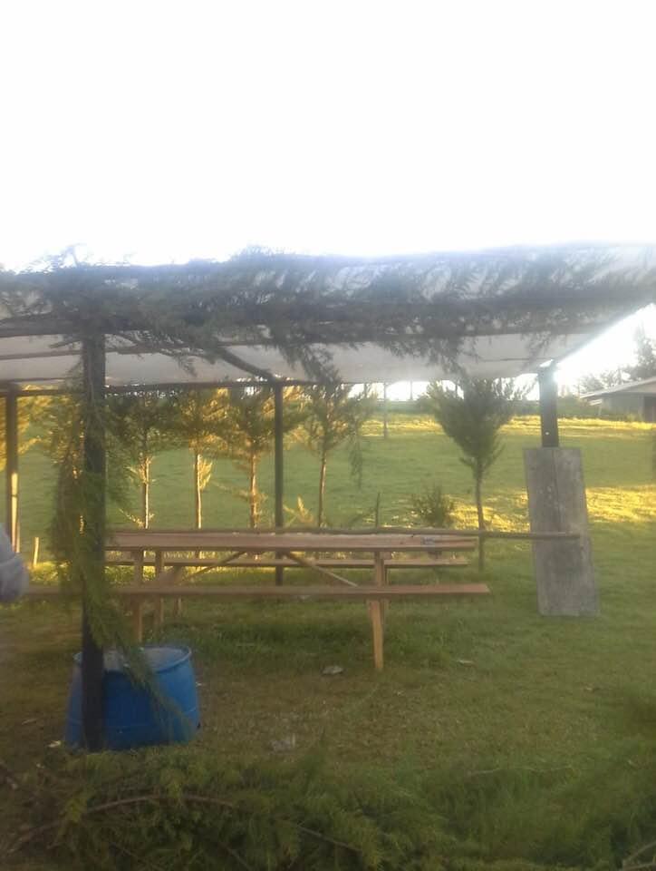 Fotografía 11 de Centro de Eventos Viruco en Santa Juana, Bio Bio