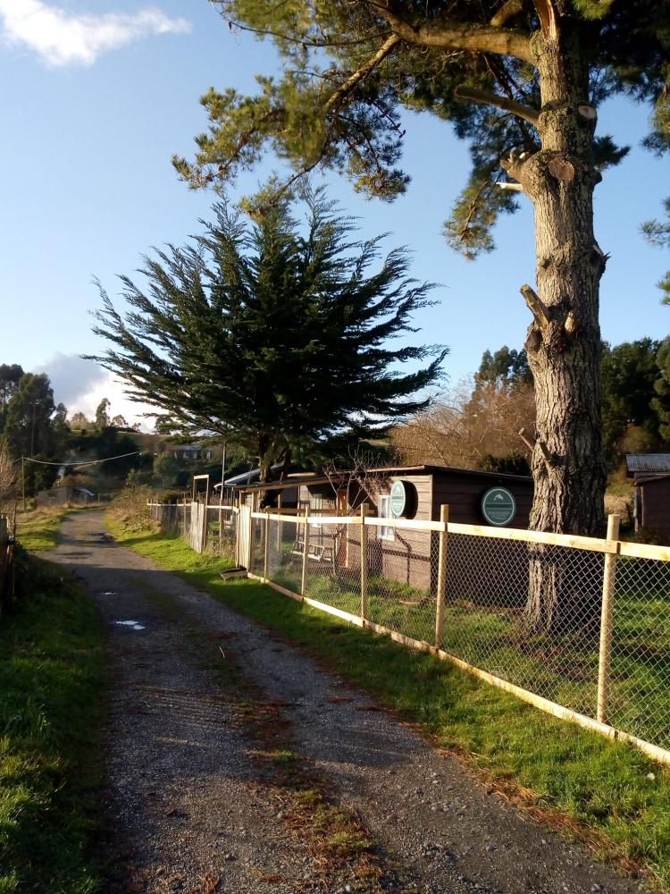 Fotografía 3 de Multimarket San Agustín en Calbuco, Los Lagos