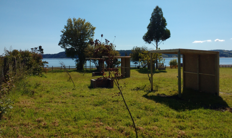 Fotografía 7 de Multimarket San Agustín en Calbuco, Los Lagos