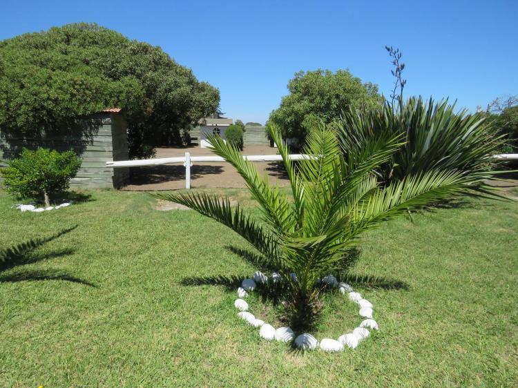 Fotografía 11 de Camping En Rancura en Licanten, Maule