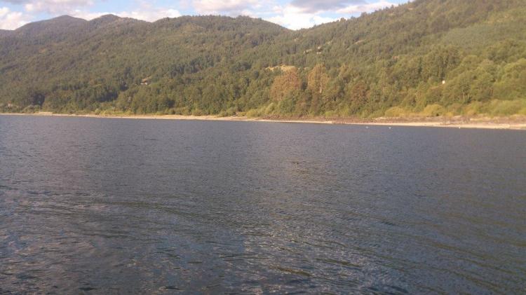Fotografía 2 de Camping Los Pilos en Pucon, Araucania