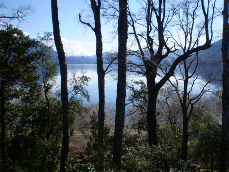 Fotografía 15 de Camping Los Pilos en Pucon, Araucania