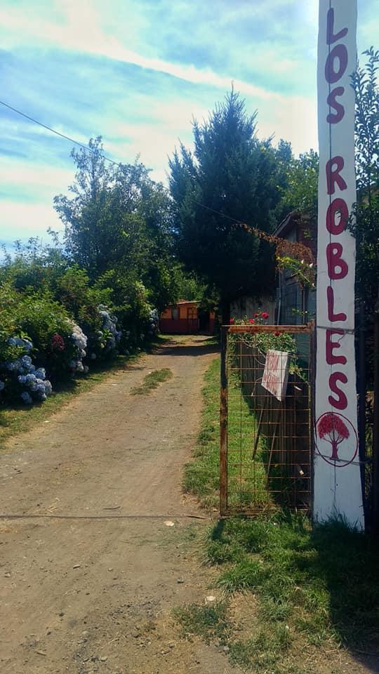 Fotografía 3 de Camping Los Robles en Pucon, Araucania