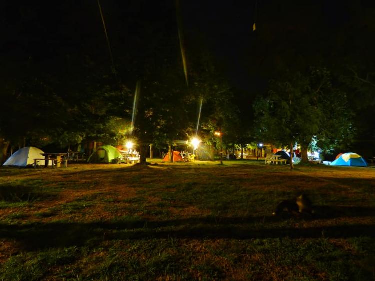 Fotografía 6 de Camping Los Robles en Pucon, Araucania