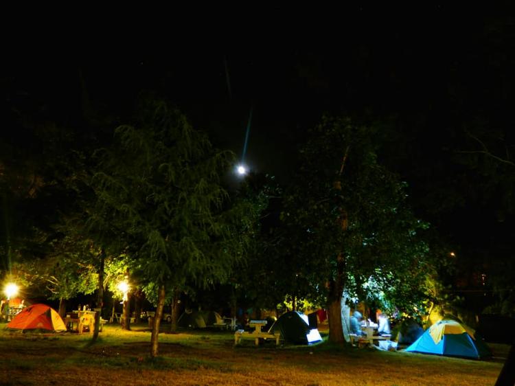 Fotografía 8 de Camping Los Robles en Pucon, Araucania