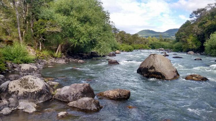 Fotografía 3 de Camping El Coihue en Pucon, Araucania