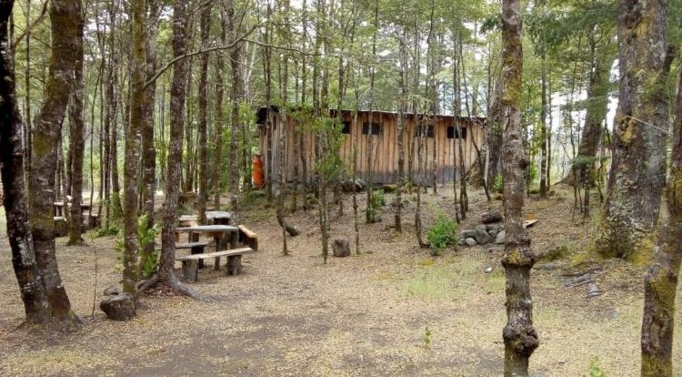Fotografía 15 de Camping El Coihue en Pucon, Araucania