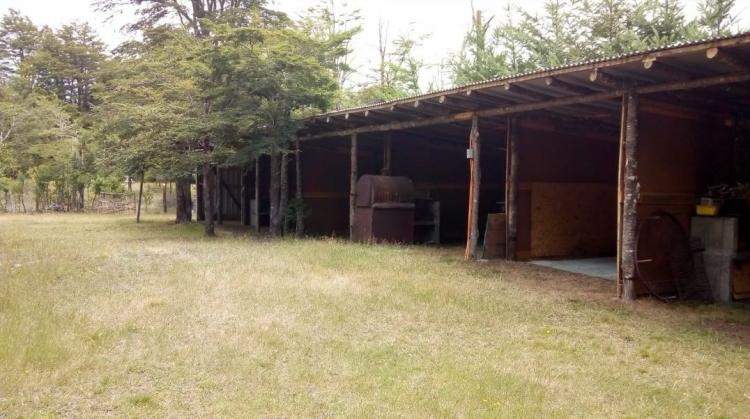 Fotografía 16 de Camping El Coihue en Pucon, Araucania