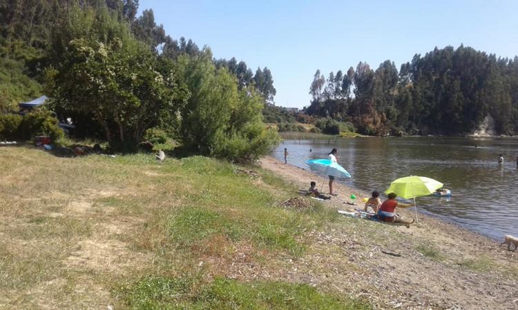 Fotografía 4 de Camping Piedra Blanca en Saavedra, Araucania