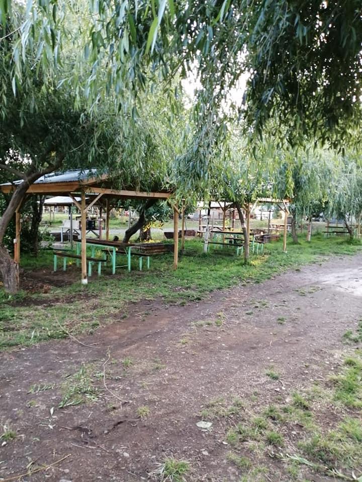 Fotografía 6 de Doña Margarita Camping en Rio Bueno, Los Rios