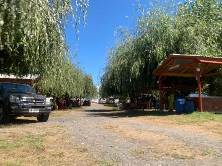 Fotografía 8 de Doña Margarita Camping en Rio Bueno, Los Rios