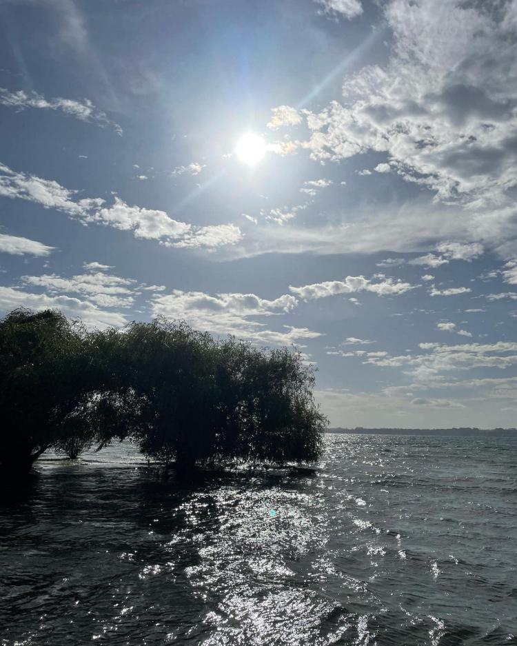 Fotografía 13 de Doña Margarita Camping en Rio Bueno, Los Rios