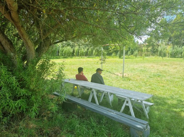 Fotografía 17 de Camping Los Coihues en Maullin, Los Lagos