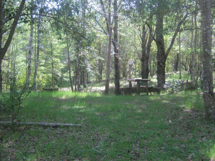 Fotografía 2 de Camping Kumiray en Pucon, Araucania