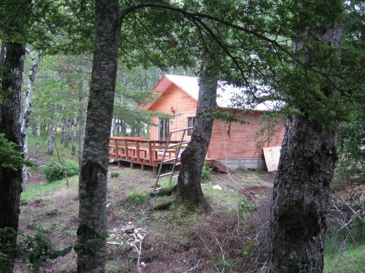 Fotografía 8 de Camping Kumiray en Pucon, Araucania