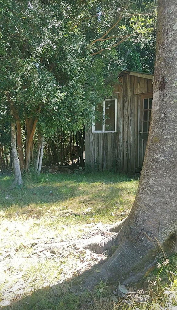 Fotografía 2 de Caviahue Chiloé en Queilen, Los Lagos