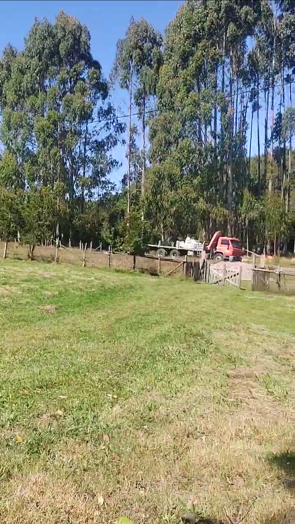 Fotografía 3 de Caviahue Chiloé en Queilen, Los Lagos