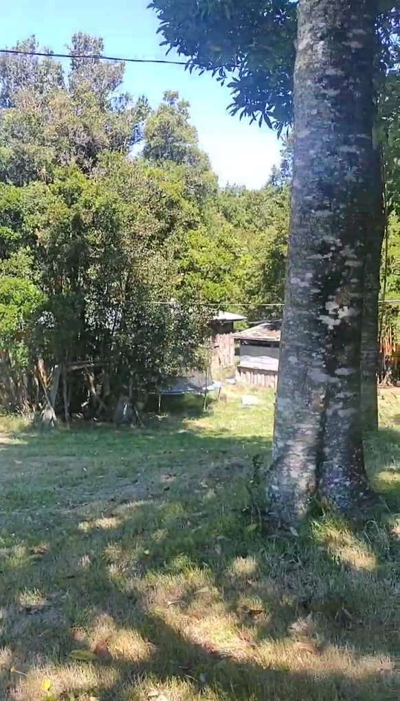 Fotografía 11 de Caviahue Chiloé en Queilen, Los Lagos