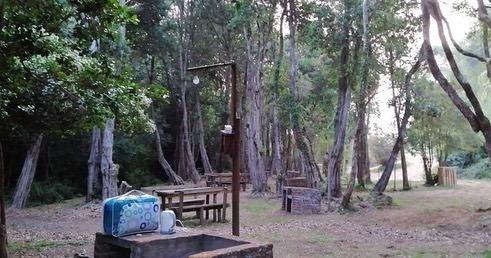Fotografía 2 de Camping Y Cabañas Newen Mapu en Panguipulli, Los Rios