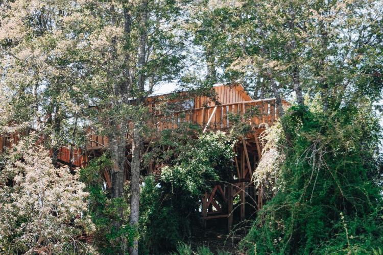 Fotografía 5 de Camping Y Cabañas Newen Mapu en Panguipulli, Los Rios