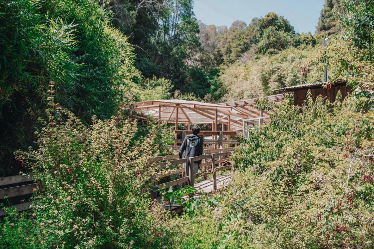 Fotografía 6 de Camping Y Cabañas Newen Mapu en Panguipulli, Los Rios