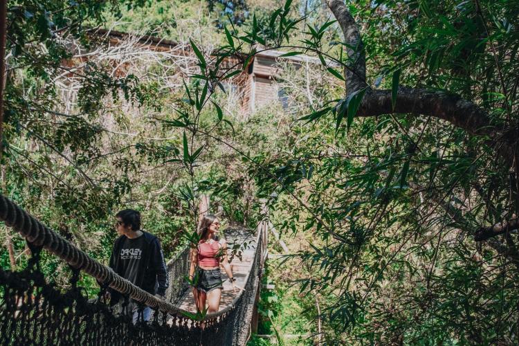 Fotografía 7 de Camping Y Cabañas Newen Mapu en Panguipulli, Los Rios