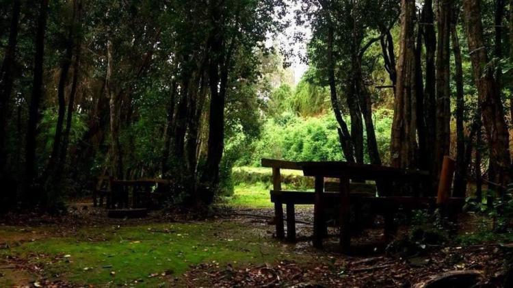 Fotografía 12 de Camping Y Cabañas Newen Mapu en Panguipulli, Los Rios