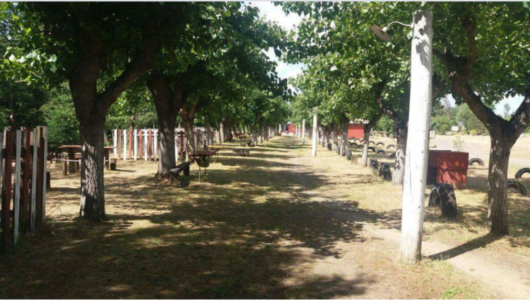 Camping Señora Sonia en Yumbel, Bio Bio