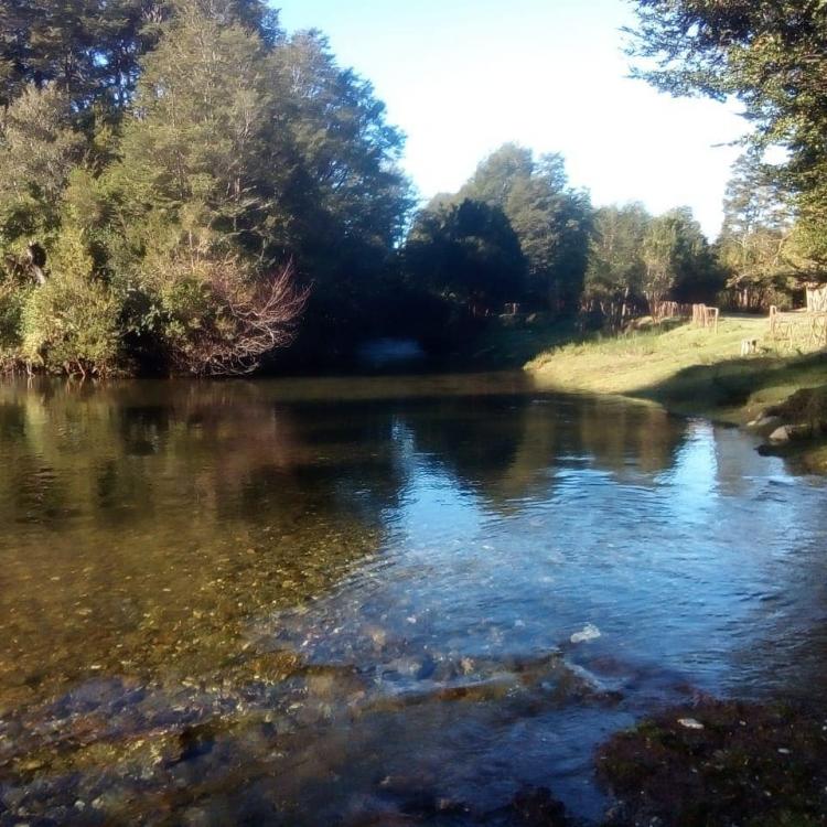 Fotografía 2 de Camping Valle Rukapiwel en San Juan De La Costa, Los Lagos